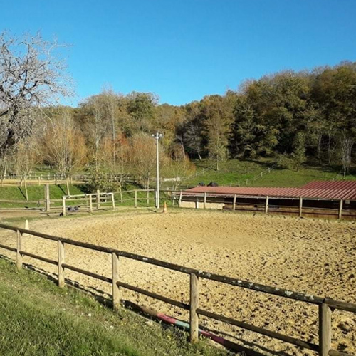 Read more about the article CENTRE EQUESTRE NEUVIC